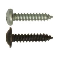 Assorted Self Tapping Screws